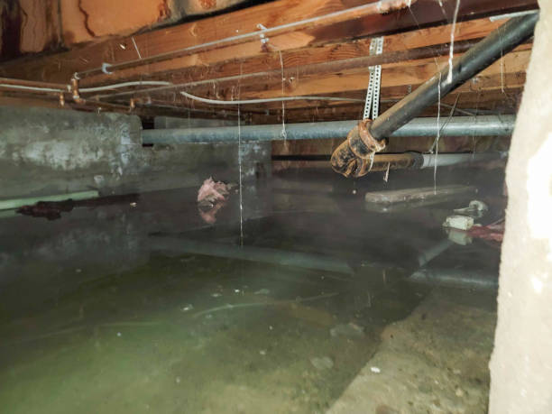 Best Residential water damage restoration  in Delhi, CA