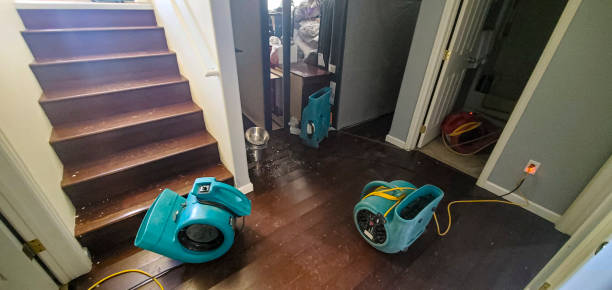 Best 24/7 water damage repair  in Delhi, CA