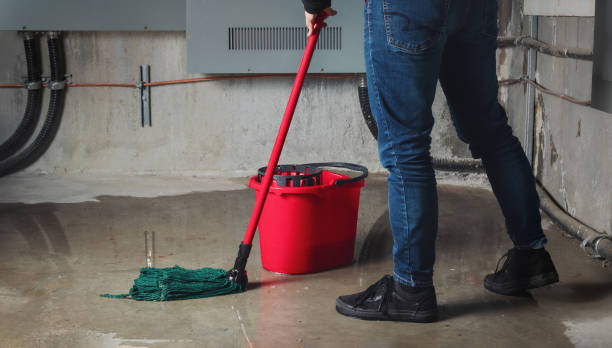 Best Water damage contractors near me  in Delhi, CA