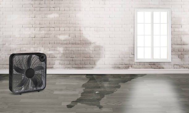 Water damage restoration process in Delhi, CA