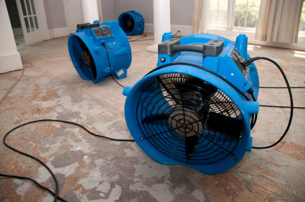 Best Fire Damage Restoration  in Delhi, CA