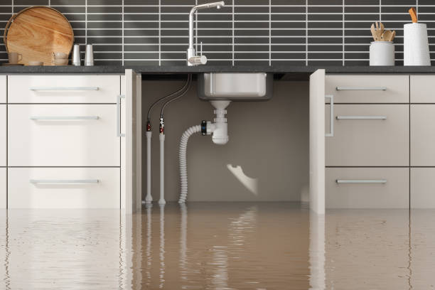 Best Fire Damage Restoration  in Delhi, CA