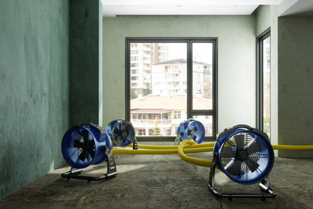  Delhi, CA Water damage restoration Pros