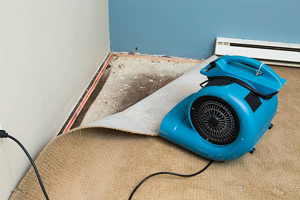 Sewage cleanup and water damage restoration in Delhi, CA